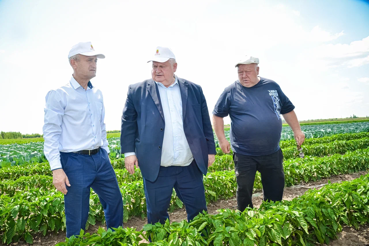     В Оренбуржье фермер из-за нехватки рабочих купил паллетайзер Алла Черкесатова
