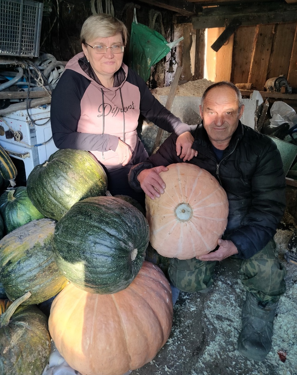 Фото предоставлено автором, Разгуляевой О.В.