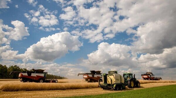    © ТГ-канал Алексей Смирнов