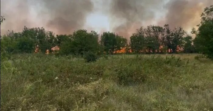     © "Интерфакс". Назир Евлоев