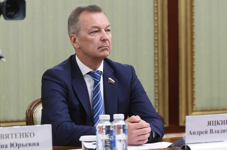   Денис Вышинский/Пресс-служба Совета Федерации