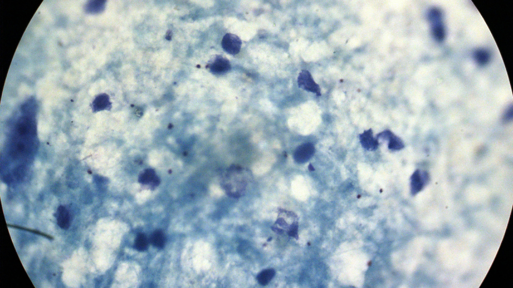    Alexander Legky/Global Look Press