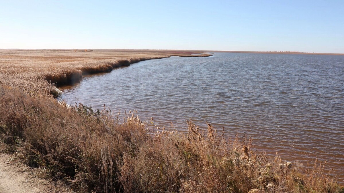     Автор: Артем Шершнев Источник: atas.info