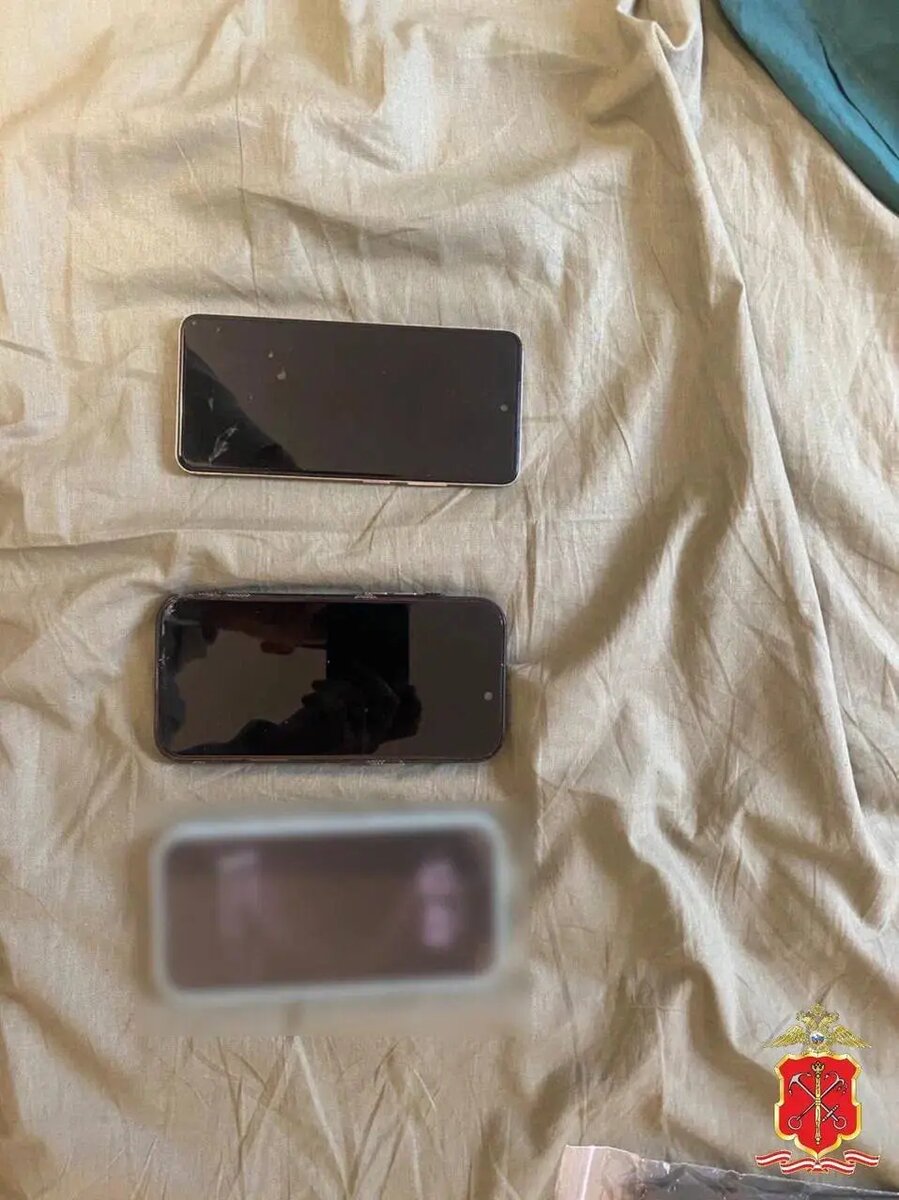    Фото: пресс-служба ГУ МВД России по Петербургу и Ленобласти