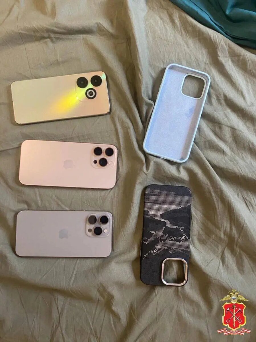    Фото: пресс-служба ГУ МВД России по Петербургу и Ленобласти