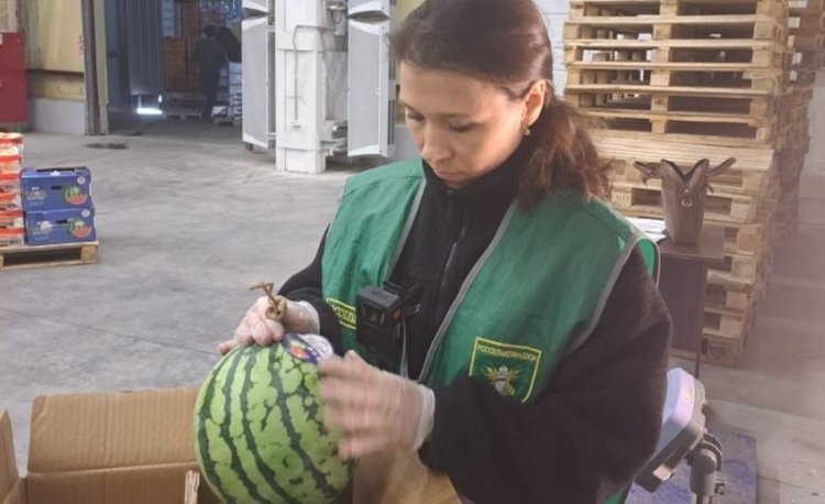    Фото: Россельхознадзор по Приморскому краю