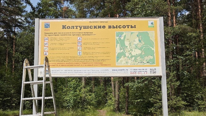 Фото: Дирекция ООПТ Ленинградской области