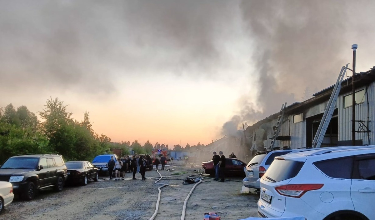Листайте вправо, чтобы увидеть больше изображений