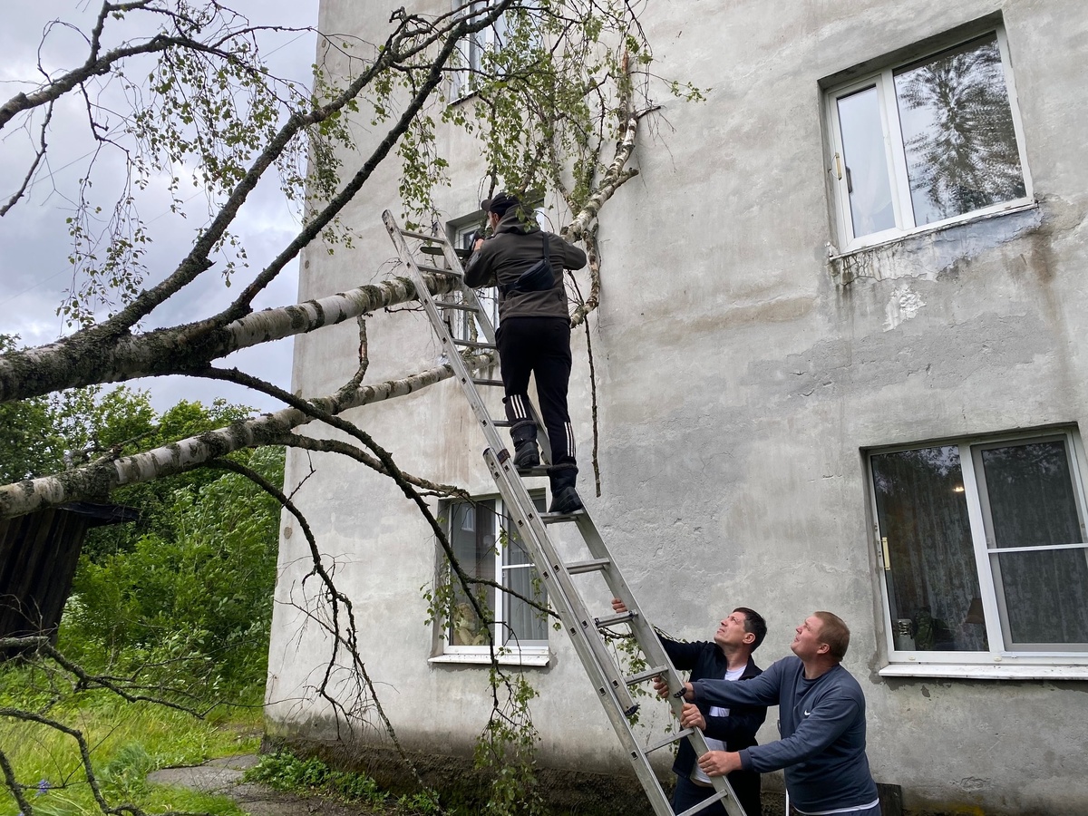 Листайте вправо, чтобы увидеть больше изображений