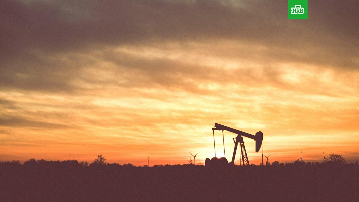    Фото: Moritz Kindler / unsplash.com