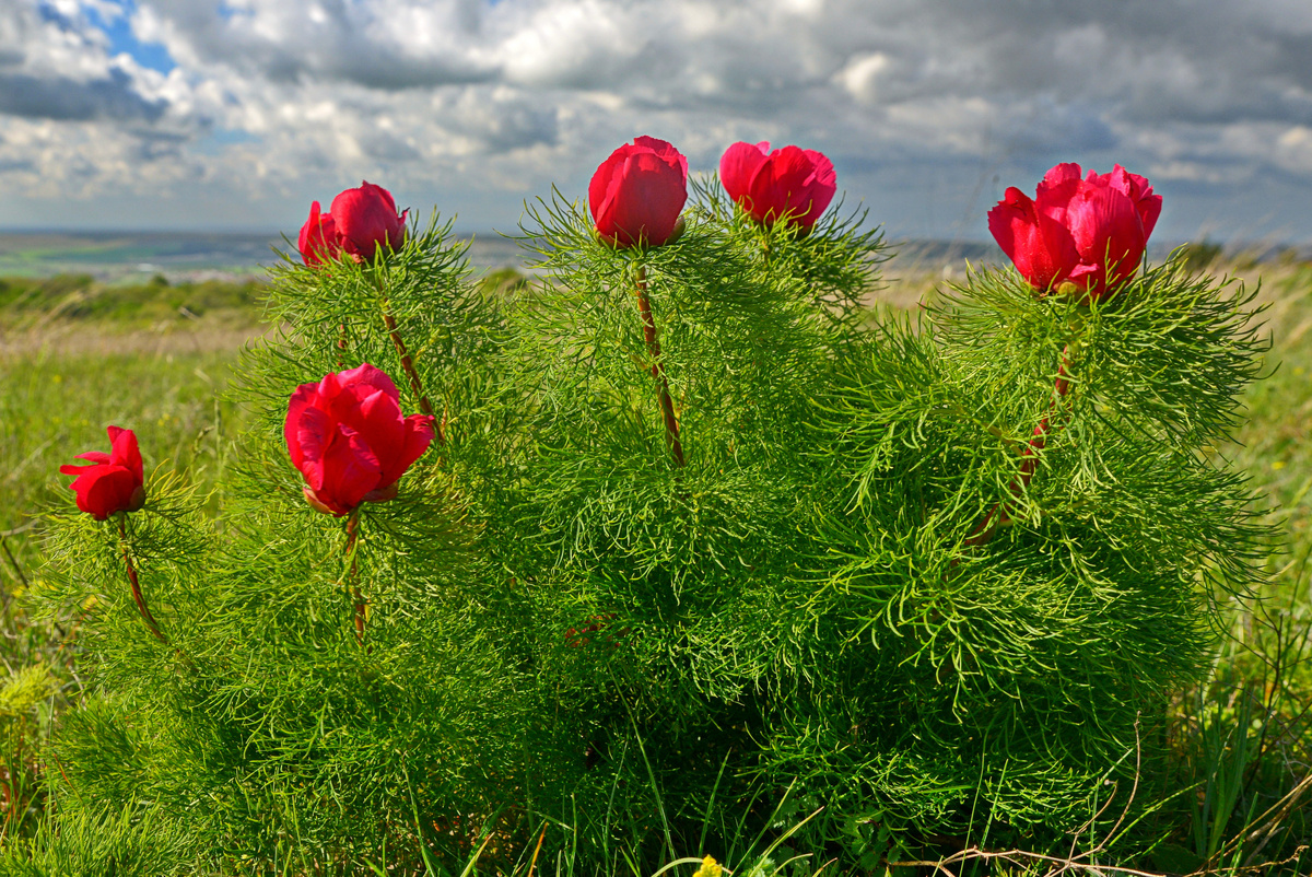 Зачем нас вообще незаслуженно обижают