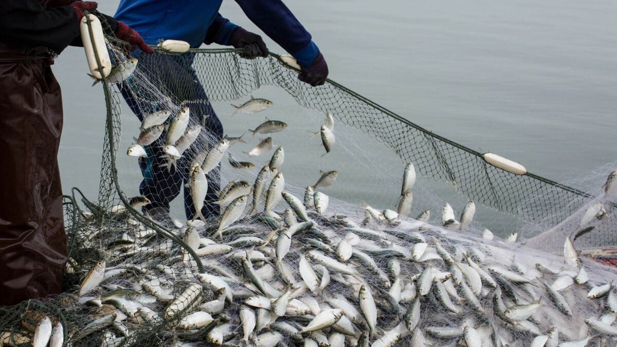    Рыбаки отмечают праздник во второе воскресенье июля. Фото: Watchares Hansawek / Shutterstock / Fotodom