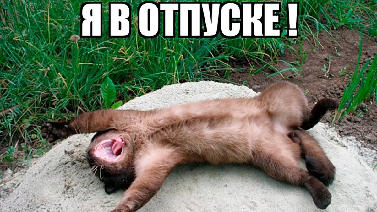 Яндекс картинки.