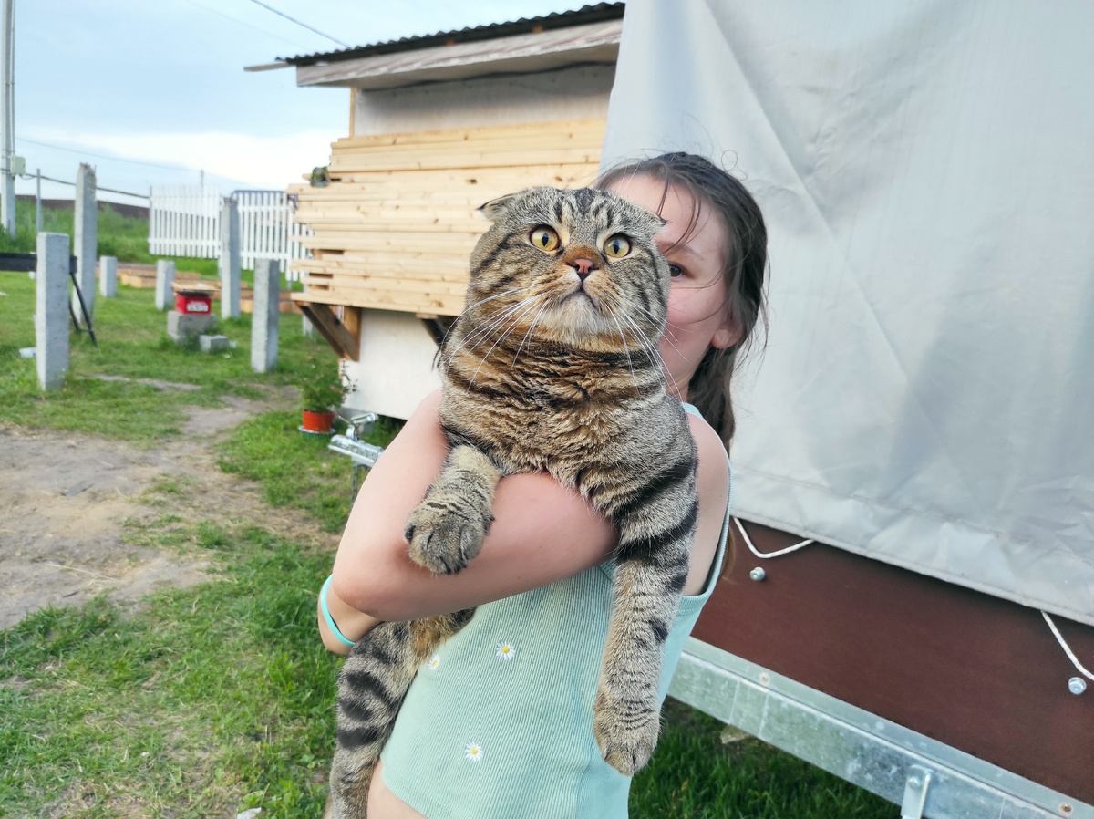 Вообще не понимают по кошачьи. Беда прям