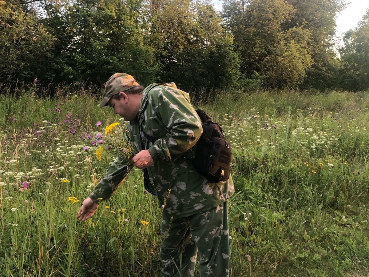    Как точно вычислить грибное место - запомните на всю жизнь, где лучше искать грибы