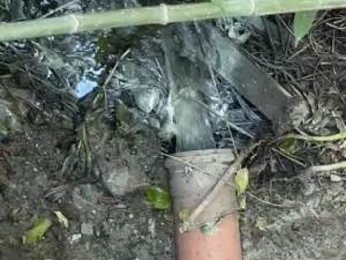 Источник фото: Соцсети