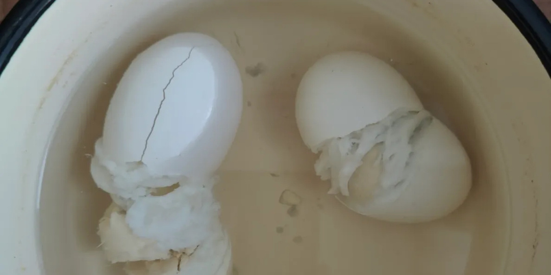 Как советская система сжигания жира оказывается прорывом XXI века