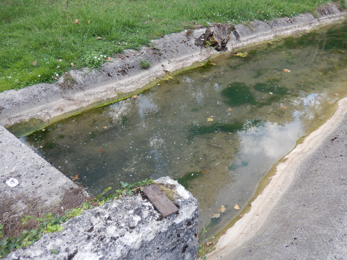 фото из архива автора