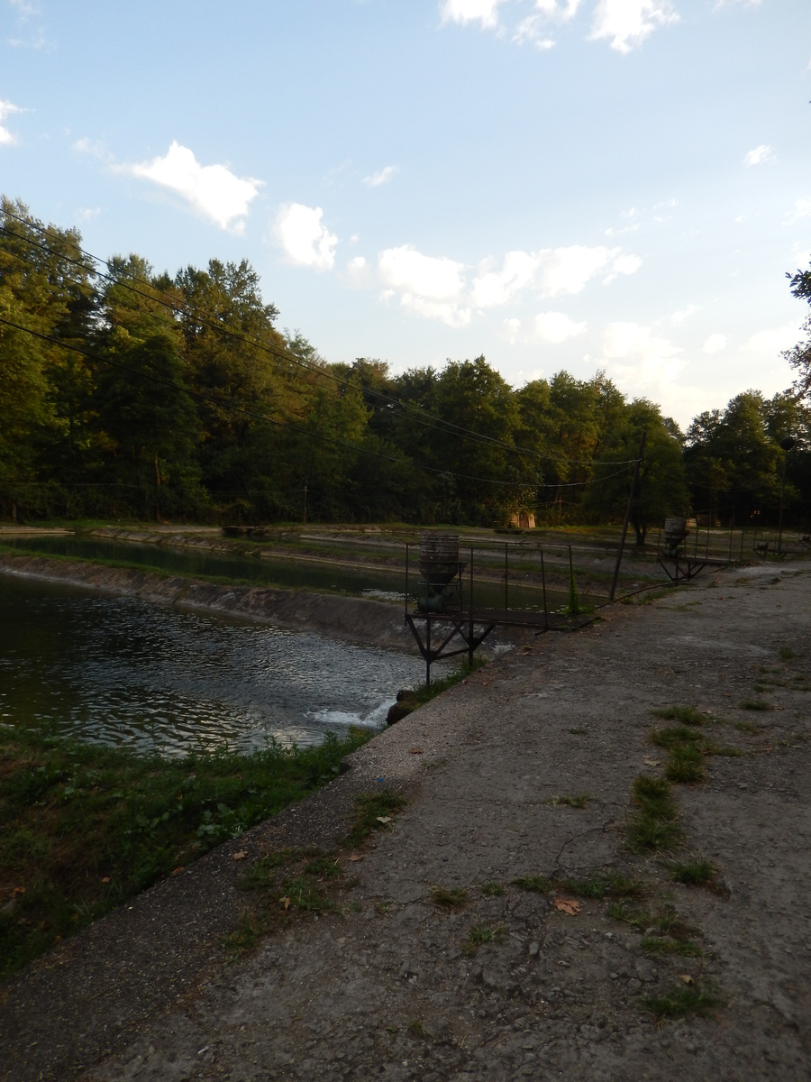 фото из архива автора