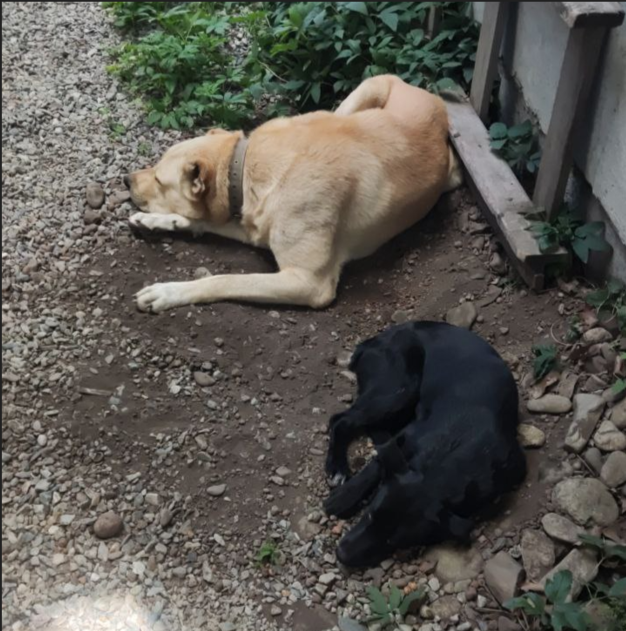 Буря миновала) Фото автора