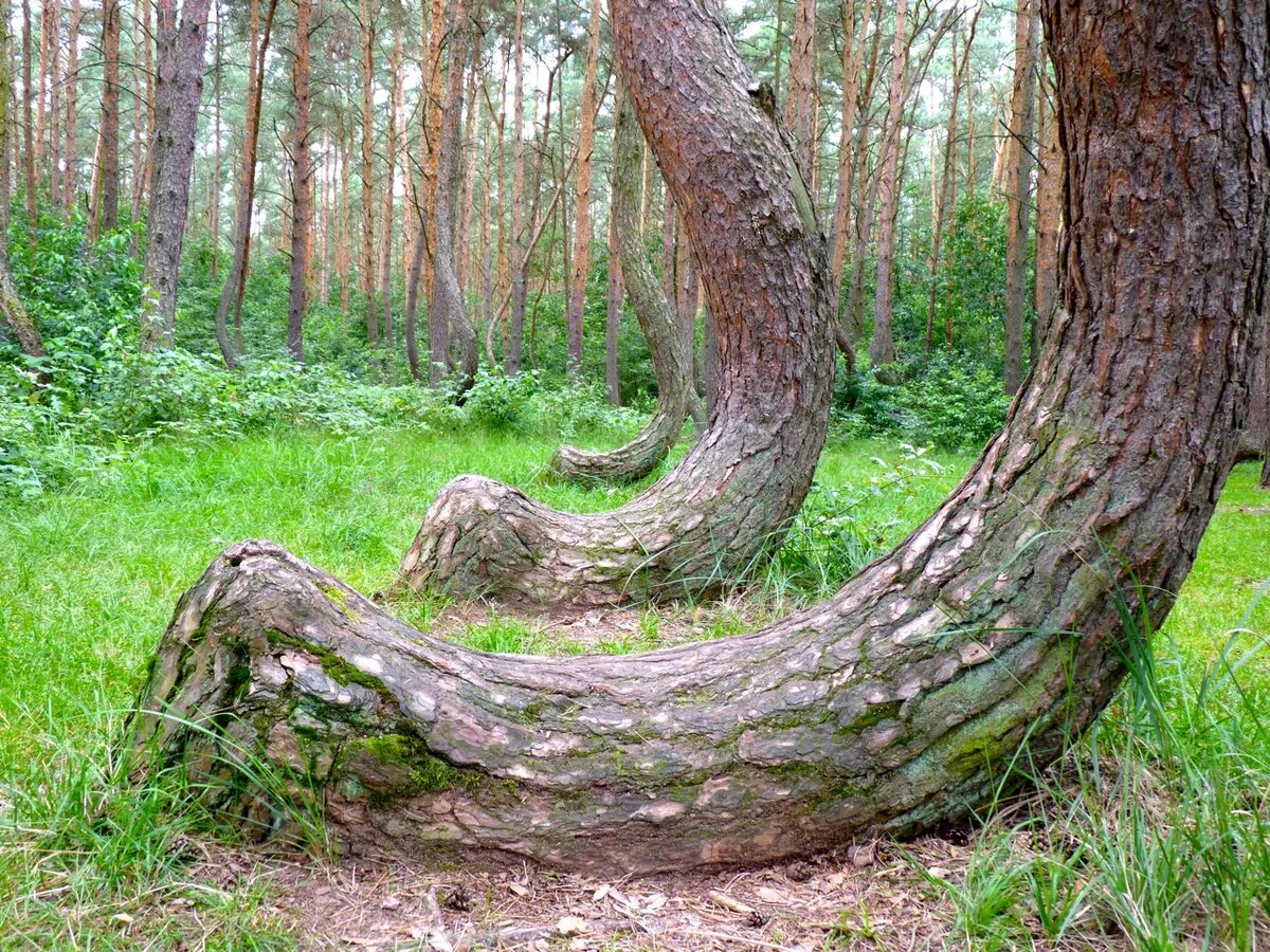 © der-schwarze-planet.de