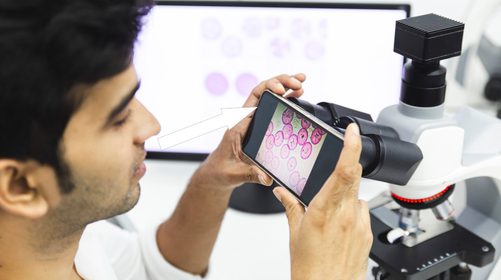    Мастерство фотосъемки микроскопических образцов: секреты профессионалов