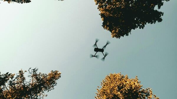    © Фото / Unsplash / KAL VISUALS