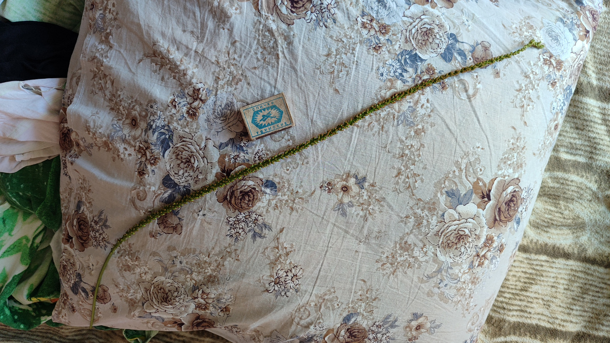 Для сравнения положил на подушку советских времён