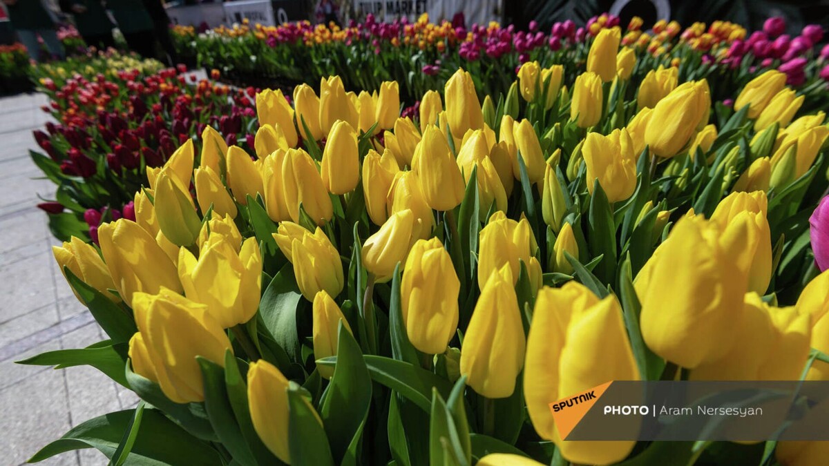 © Sputnik / Aram Nersesyan