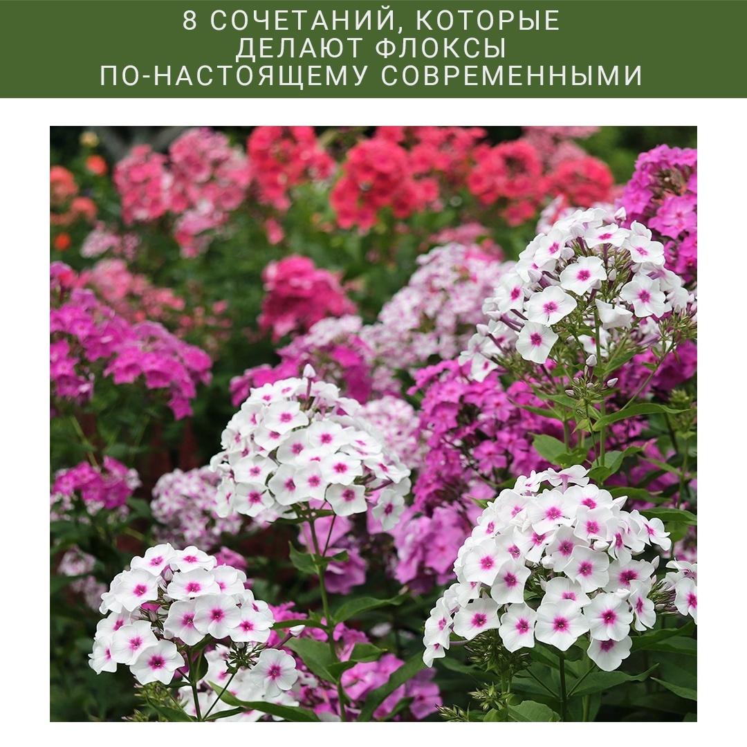 Листайте галерею по стрелке вправо 