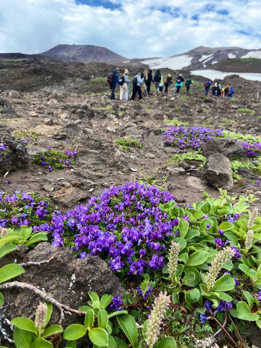 Камчатка. Подъем на вулкан Горелый. Ходим-едем