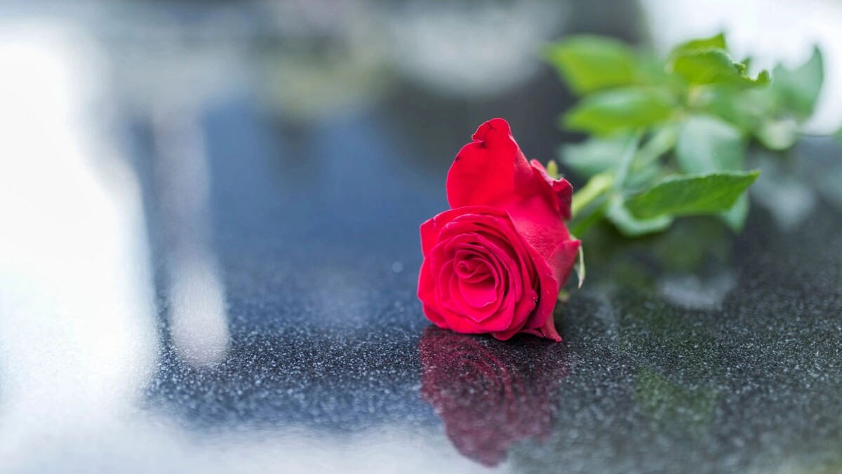    Фото: Dragana Gordic/Shutterstock/Fotodom