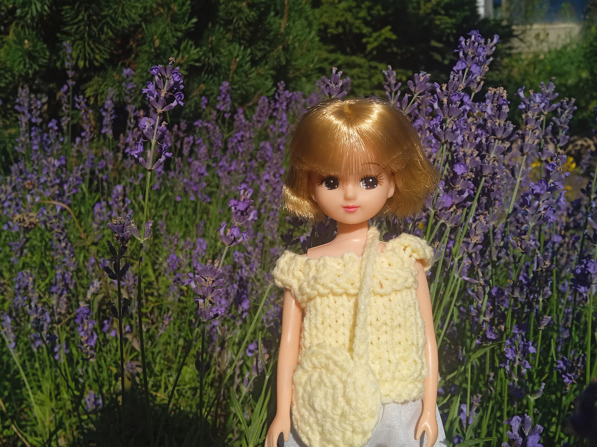 Тори и лаванда. Фото автора.