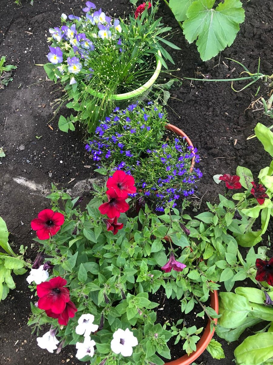 В дальнем углу очень тёмные цветочки