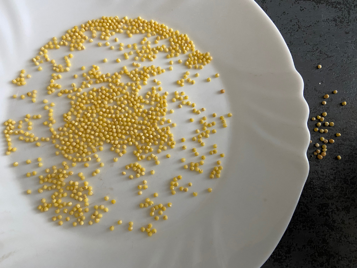 Перебираем пшено