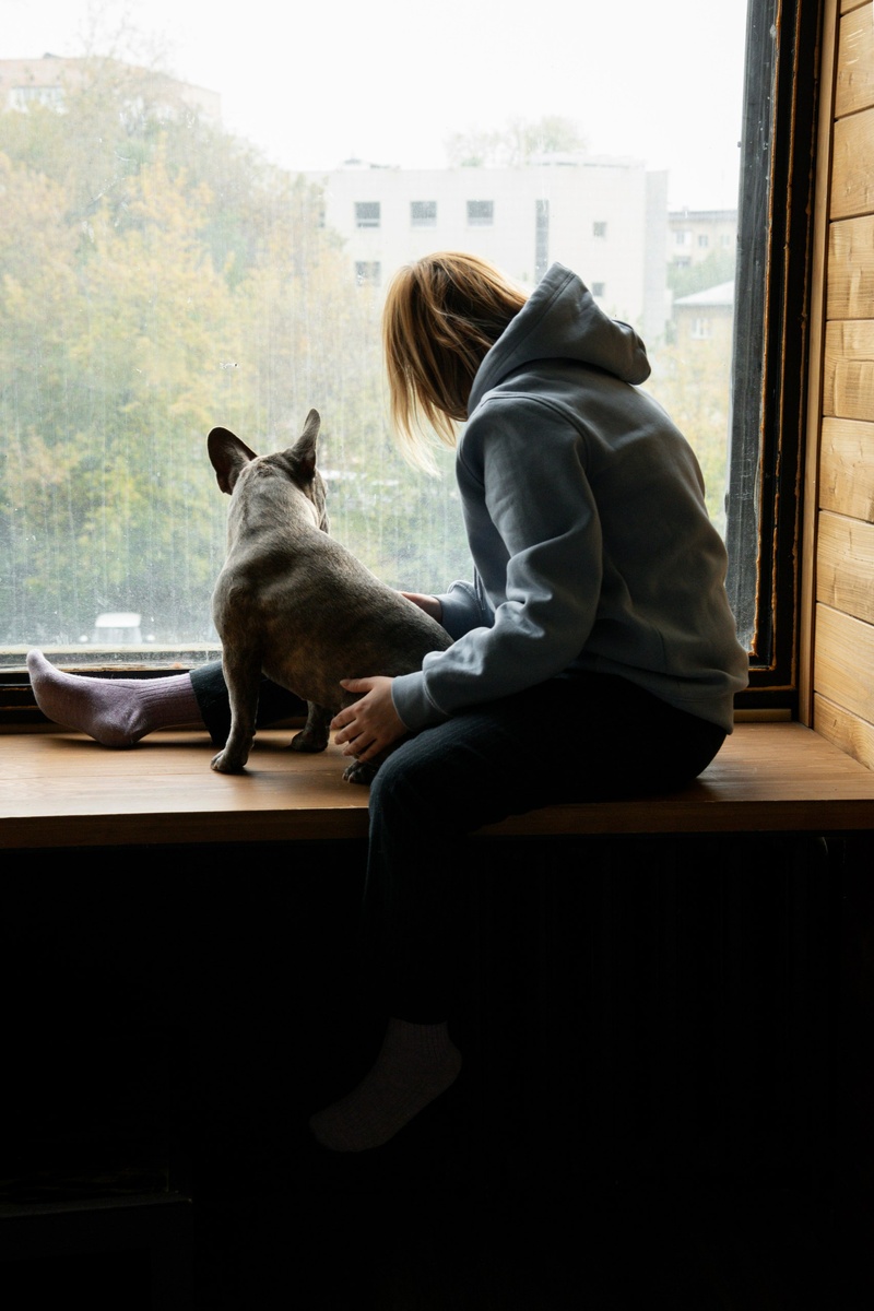 Фото: Freepik/@freepik
Телефон выключен. Я считаю капли на стекле, а собака дышит в такт дождю. Это мой честный статус: „Просто быть“ — без оправданий.