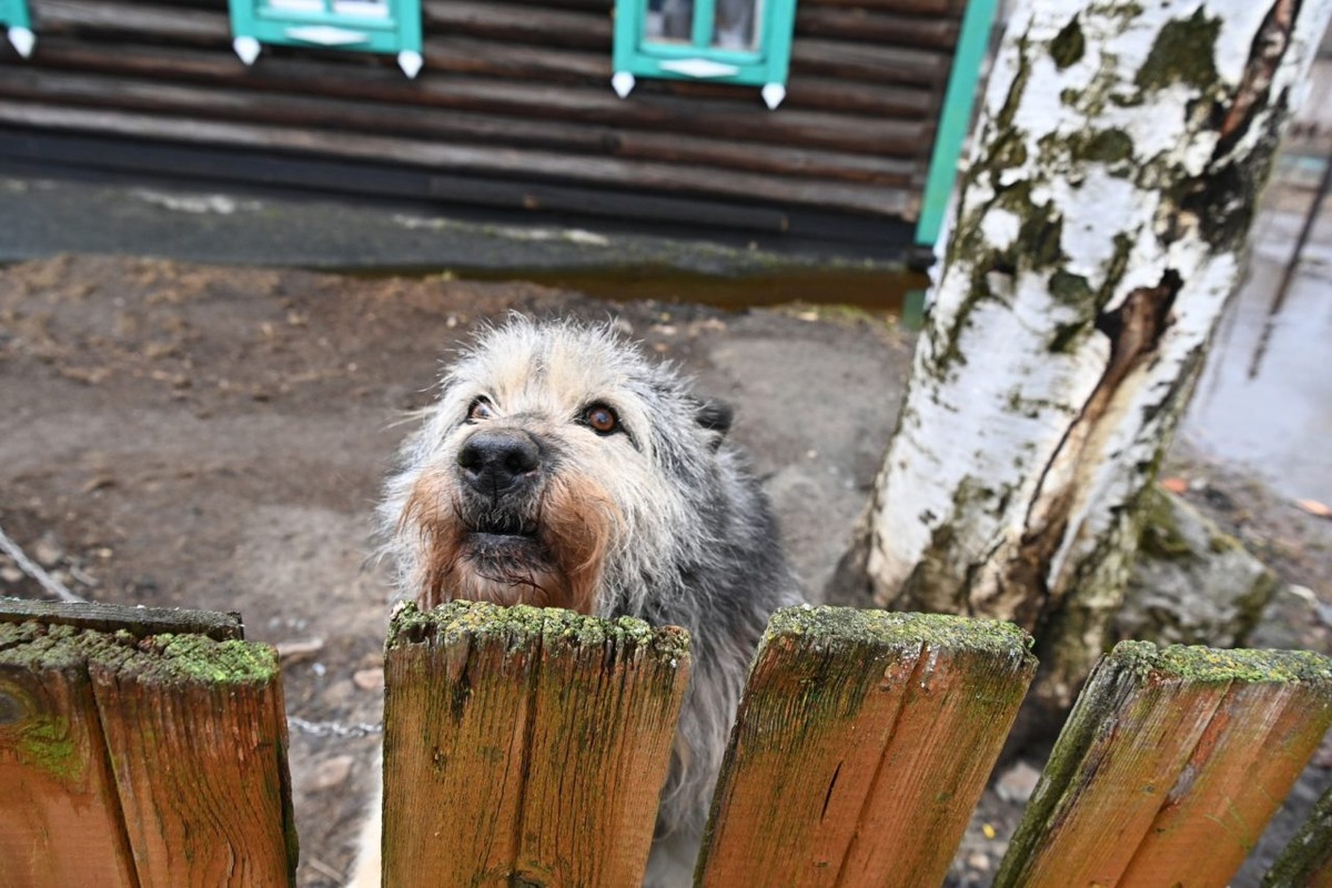    Фото: "Республика"/Сергей Юдин