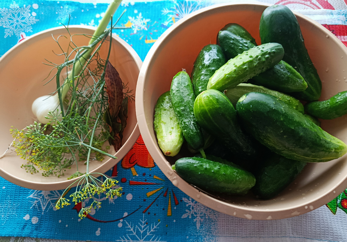 Личное фото автора канала