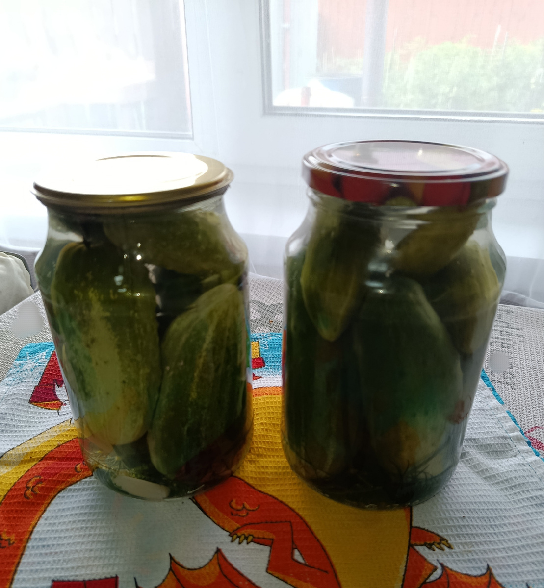 Личное фото автора канала