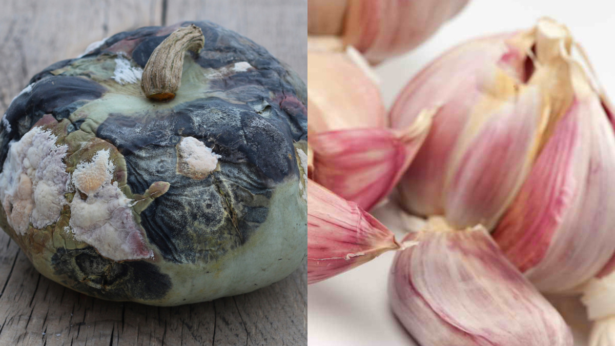 Слева - результат неправильной сушки, справа - дедовский метод. Разница очевидна