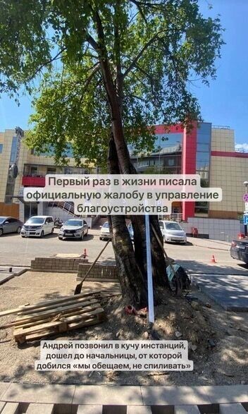     Источник: Надежда Воскресенская, t.me