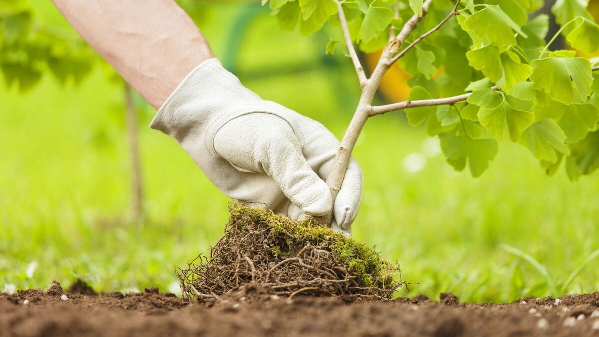    Фото: alessandro guerriero/Shutterstock/Fotodom