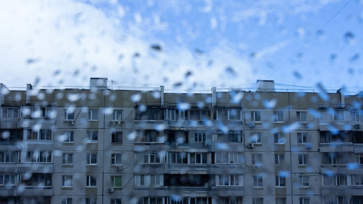    Фото: Liiiz/Shutterstock/Fotodom