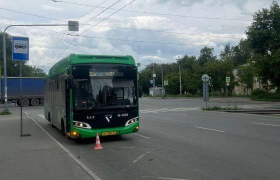    Фото: ГИБДД Челябинской области / предоставлено Царьграду.