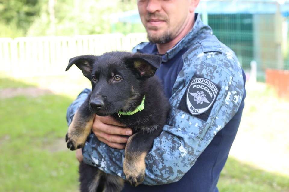    Фото: УТ МВД России по СЗФО