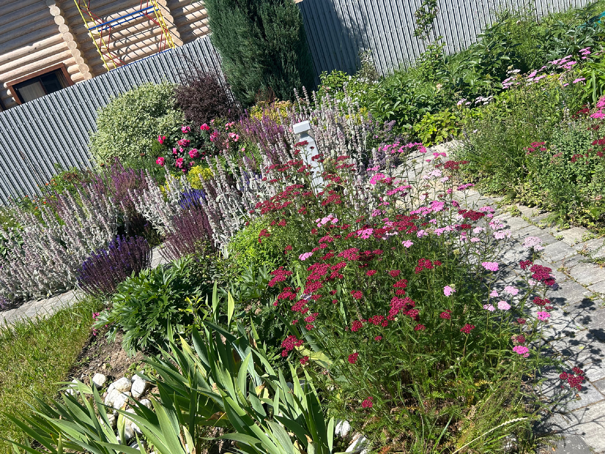 Сад в природном стиле