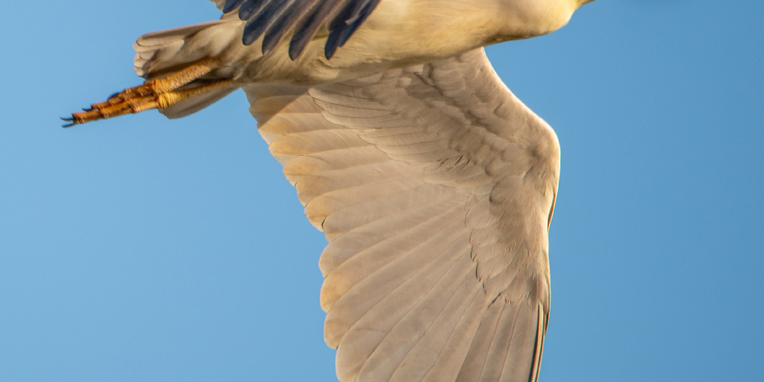 Краснодар в ожидании пекла. 08.07.25.