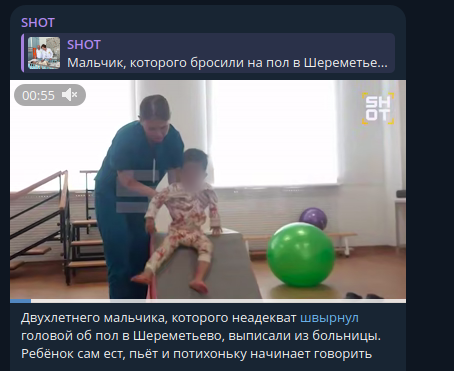    Скриншот: Telegram/SHOT