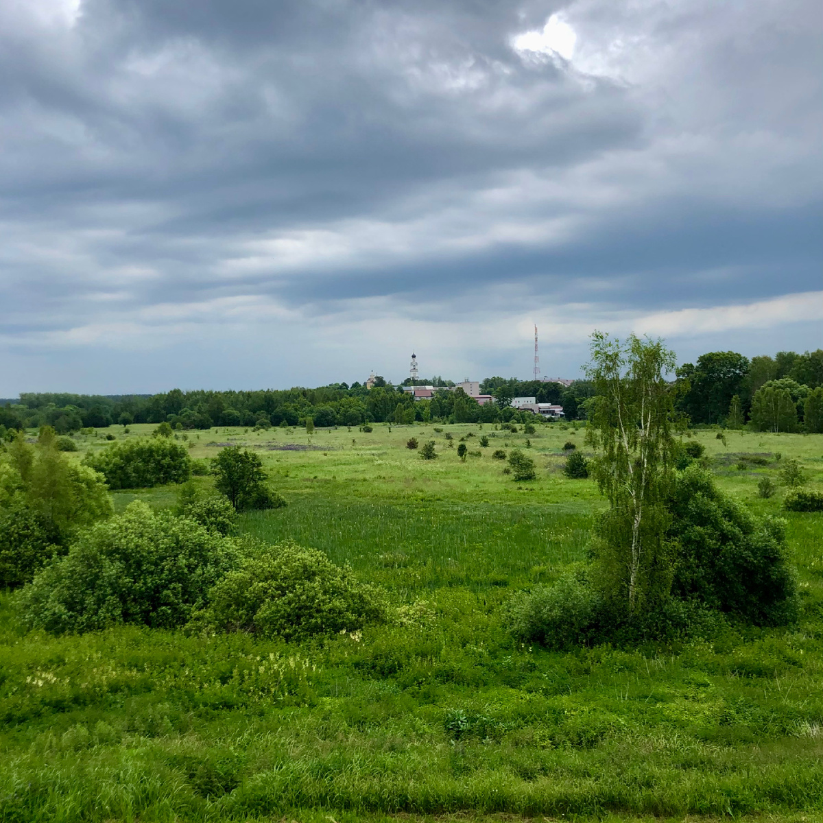 фото автора 