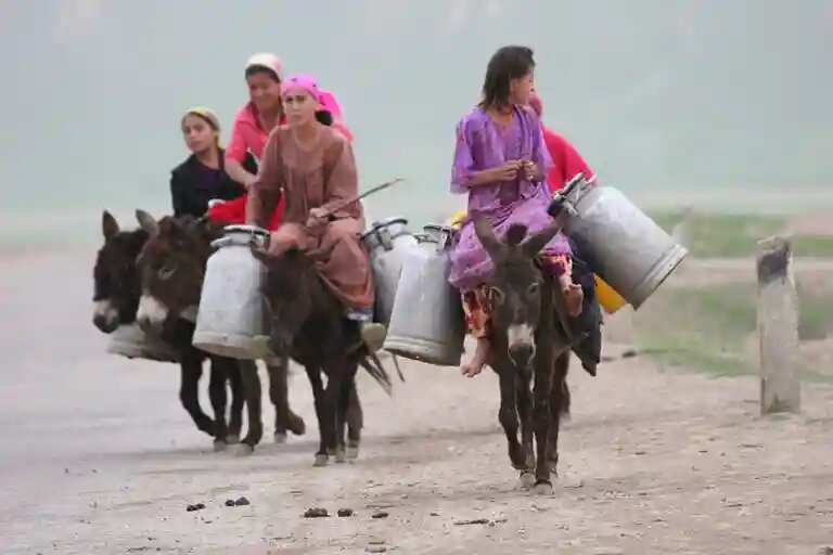    Источник: asiaplustj.info